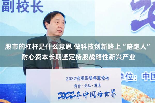 股市的杠杆是什么意思 做科技创新路上“陪跑人” 耐心资本长期坚定持股战略性新兴产业