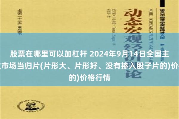 股票在哪里可以加杠杆 2024年9月14日全国主要批发市场当归片(片形大、片形好、没有掺入股子片的)价格行情