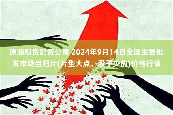 原油期货配资公司 2024年9月14日全国主要批发市场当归片(片型大点、股子少的)价格行情