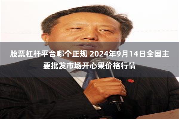 股票杠杆平台哪个正规 2024年9月14日全国主要批发市场开心果价格行情