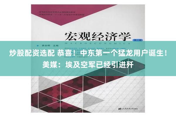 炒股配资选配 恭喜！中东第一个猛龙用户诞生！美媒：埃及空军已经引进歼