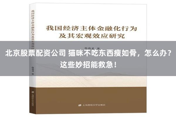 北京股票配资公司 猫咪不吃东西瘦如骨，怎么办？这些妙招能救急！