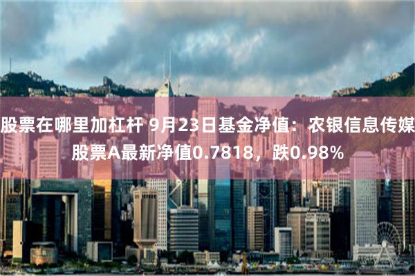 股票在哪里加杠杆 9月23日基金净值：农银信息传媒股票A最新净值0.7818，跌0.98%