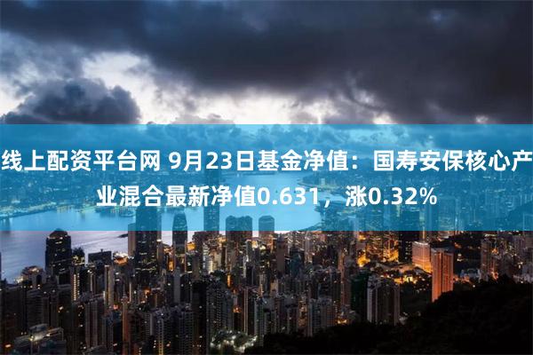 线上配资平台网 9月23日基金净值：国寿安保核心产业混合最新净值0.631，涨0.32%