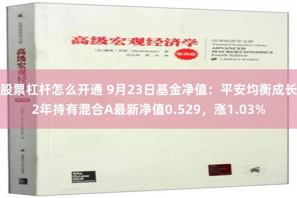 股票杠杆怎么开通 9月23日基金净值：平安均衡成长2年持有混合A最新净值0.529，涨1.03%