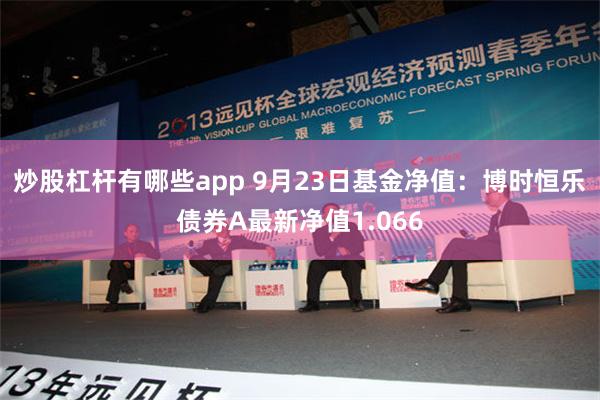 炒股杠杆有哪些app 9月23日基金净值：博时恒乐债券A最新净值1.066