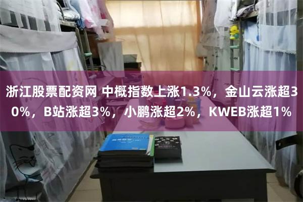 浙江股票配资网 中概指数上涨1.3%，金山云涨超30%，B站涨超3%，小鹏涨超2%，KWEB涨超1%