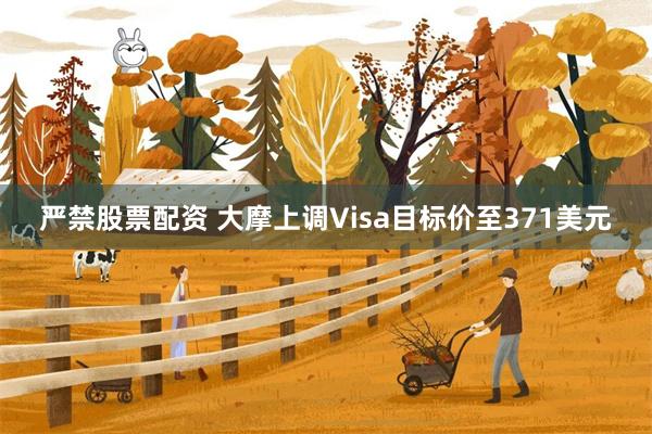 严禁股票配资 大摩上调Visa目标价至371美元