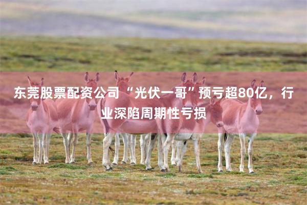 东莞股票配资公司 “光伏一哥”预亏超80亿，行业深陷周期性亏损