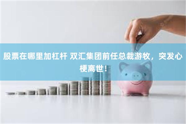 股票在哪里加杠杆 双汇集团前任总裁游牧，突发心梗离世！